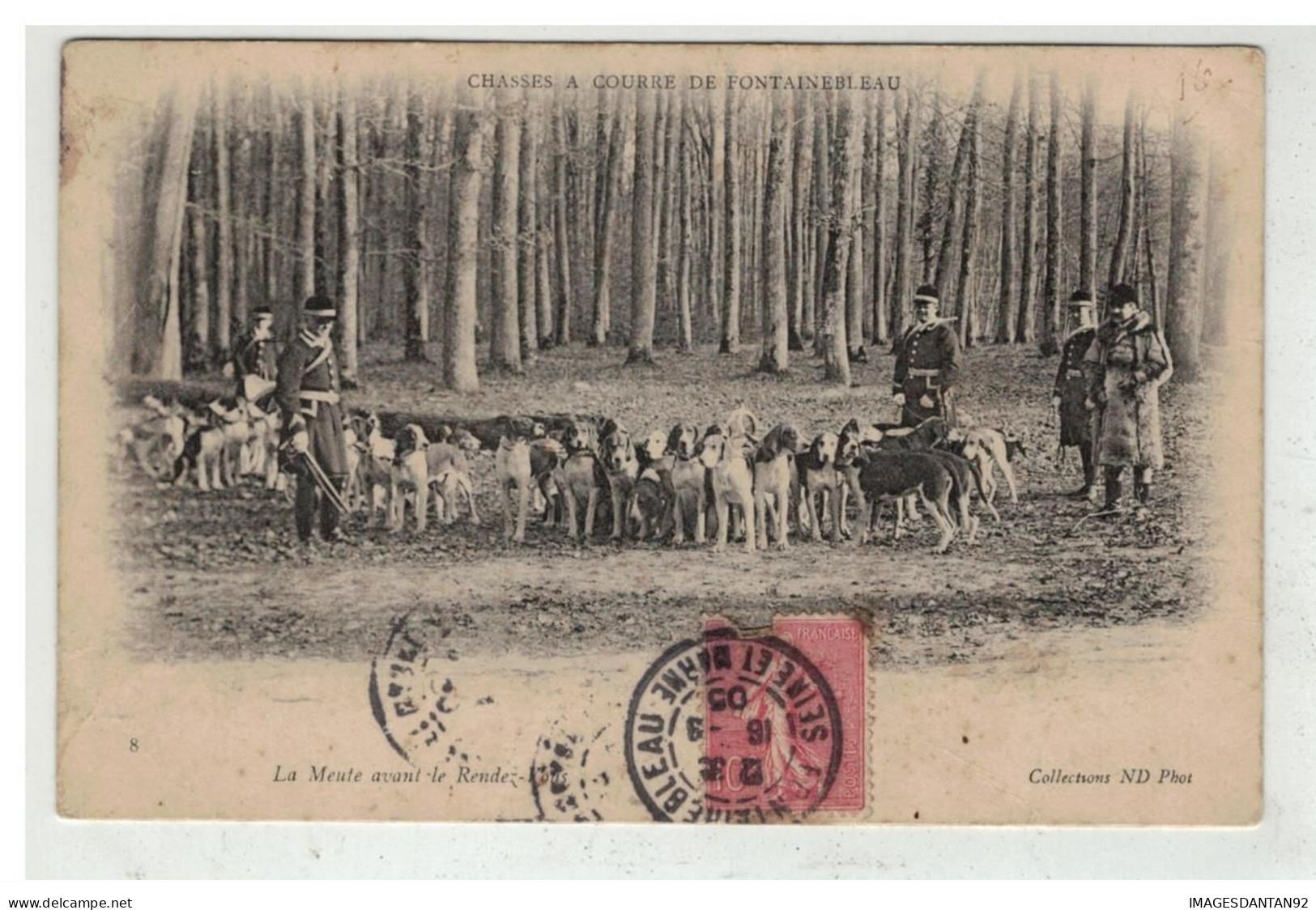 77 FONTAINEBLEAU #18921 CHASSE A COURRE LA MEUTE AVANT LE RENDEZ VOUS - Fontainebleau