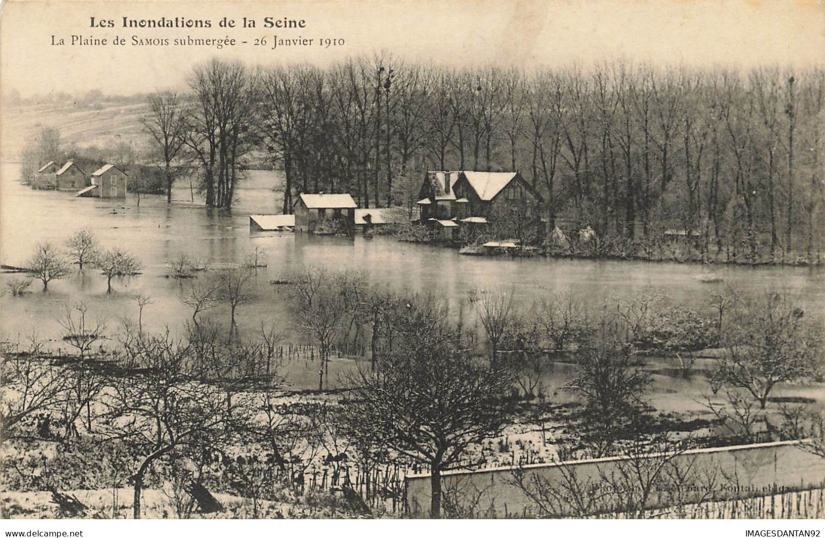 77 SAMOIS #20743 LA PLAINE SUBMERGEE LES INONDATIONS DE LA SEINE - Samois