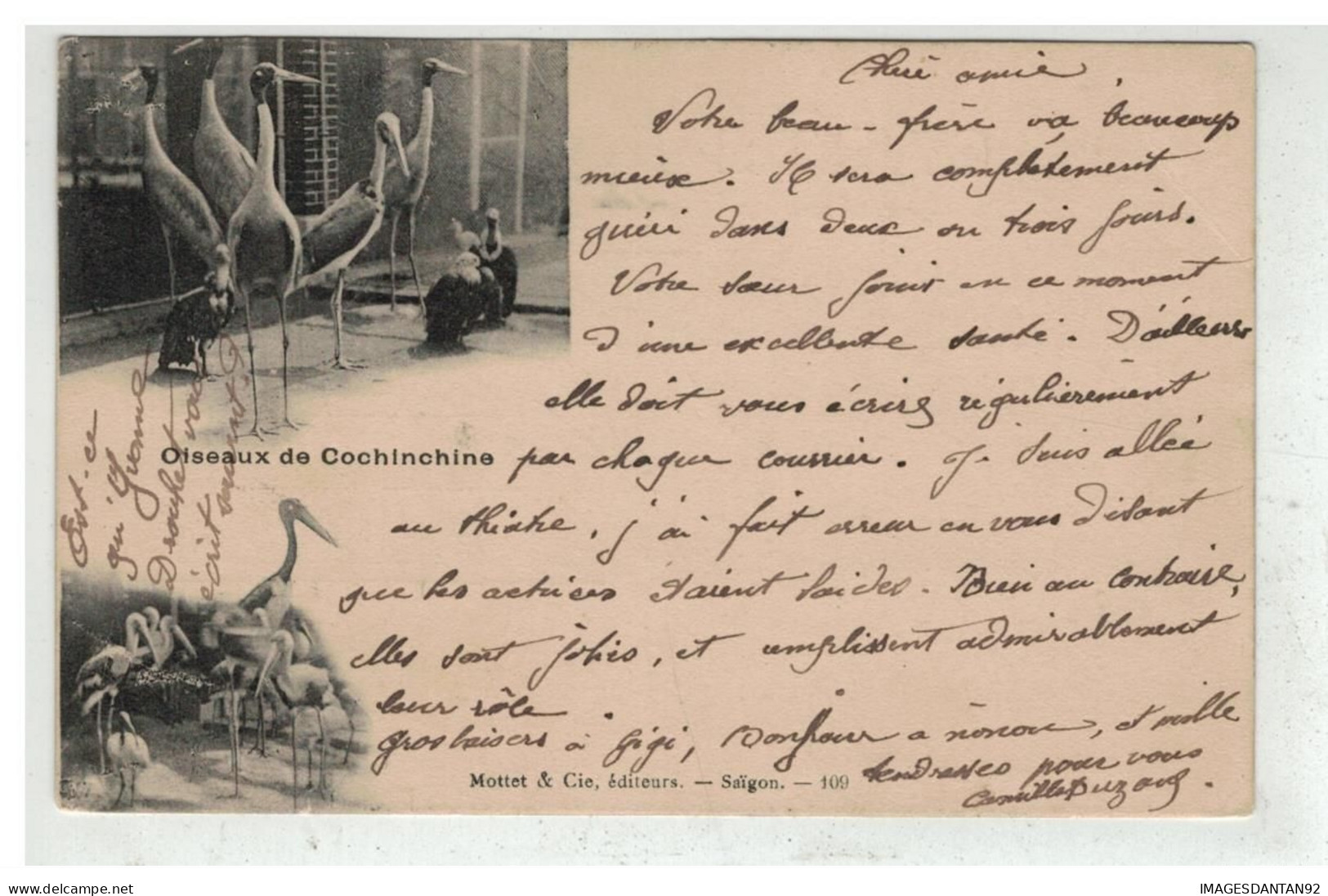 TONKIN INDOCHINE VIETNAM SAIGON #18629 OISEAUX DE COCHINCHINE - Viêt-Nam