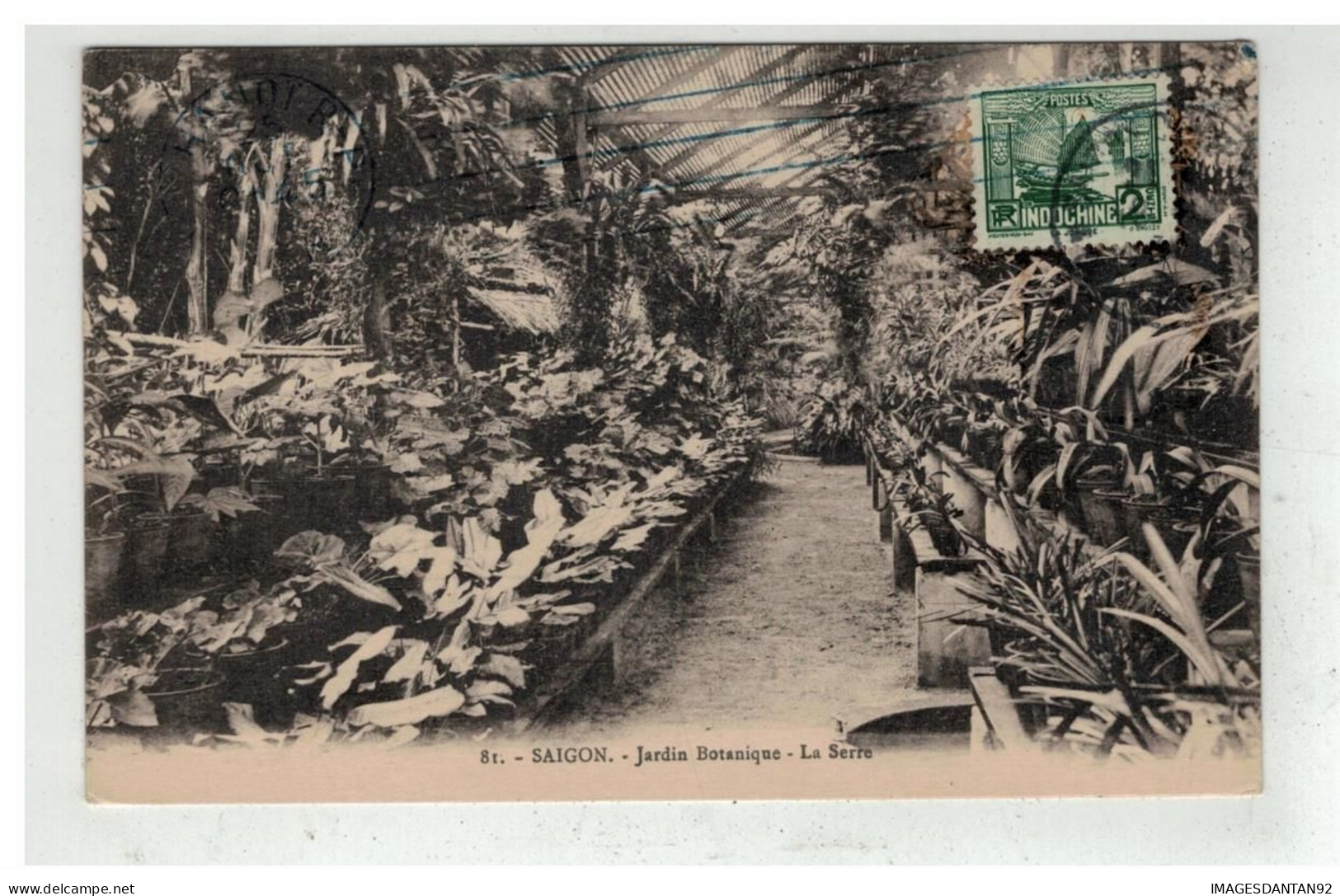 TONKIN INDOCHINE VIETNAM SAIGON #18599 JARDIN BOTANIQUE LA SERRE - Viêt-Nam