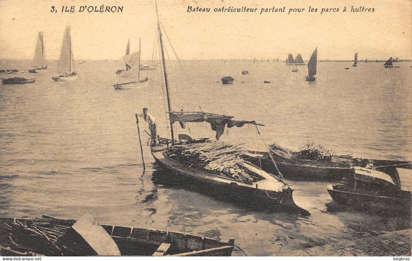 ILE D OLERON   OSTREICULTEUR PARTANT  POUR LES PARCS - Ile D'Oléron