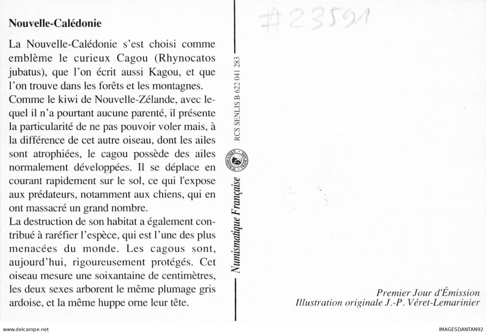 CARTE MAXIMUM #23591 NOUVELLE CALEDONIE NOUMEA 1993 CAGOU OISEAU - Cartes-maximum