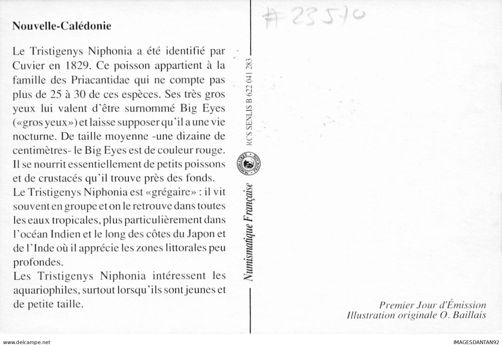 CARTE MAXIMUM #23570 NOUVELLE CALEDONIE NOUMEA 1990 MONDE DES PROFONDEURS TRISTIGENYS NIPHONIA POISSON - Cartes-maximum