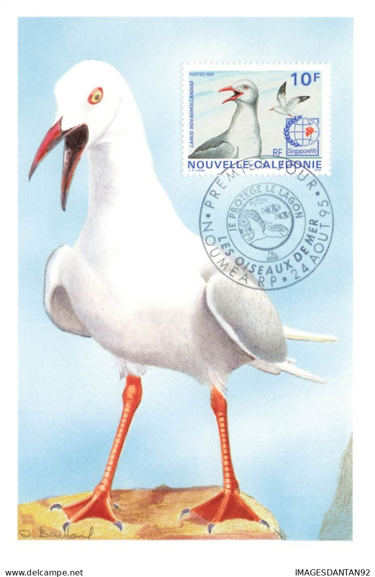 CARTE MAXIMUM #23564 NOUVELLE CALEDONIE NOUMEA 1995 OISEAU DE MER LARUS - Maximum Cards