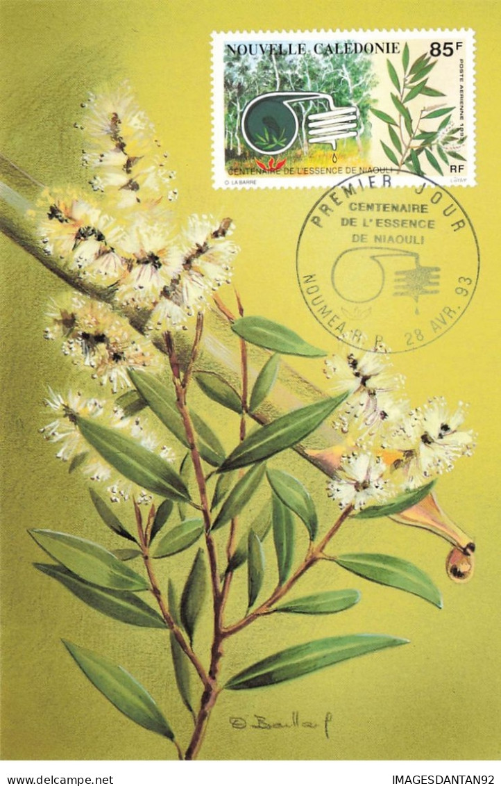 CARTE MAXIMUM #23582 NOUVELLE CALEDONIE NOUMEA 1993 ESSENCE DE NIAOULI - Cartoline Maximum