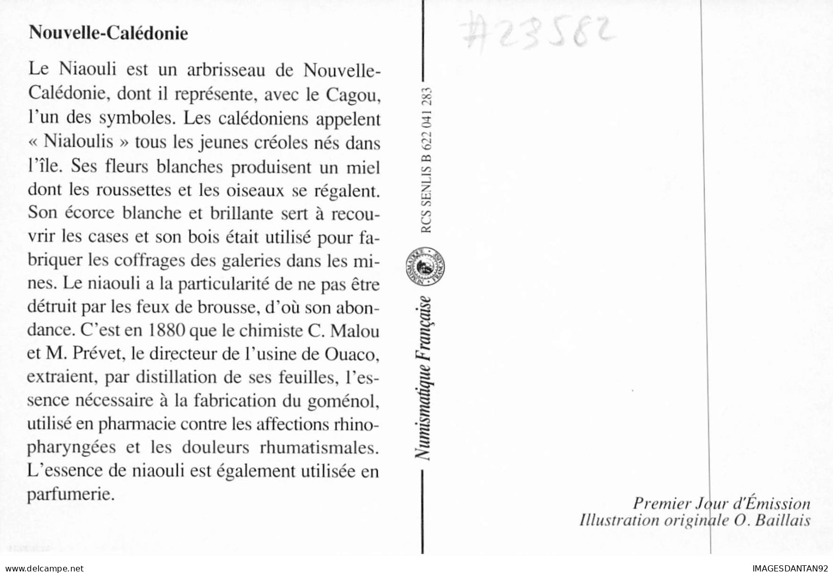 CARTE MAXIMUM #23582 NOUVELLE CALEDONIE NOUMEA 1993 ESSENCE DE NIAOULI - Cartoline Maximum