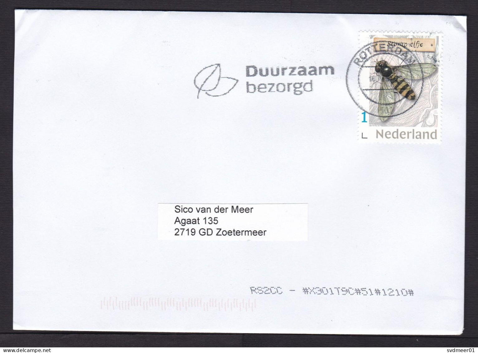 Netherlands: Cover, 2024, 1 Stamp, Hoverfly, Hover Fly, Insect, Animal (traces Of Use) - Storia Postale