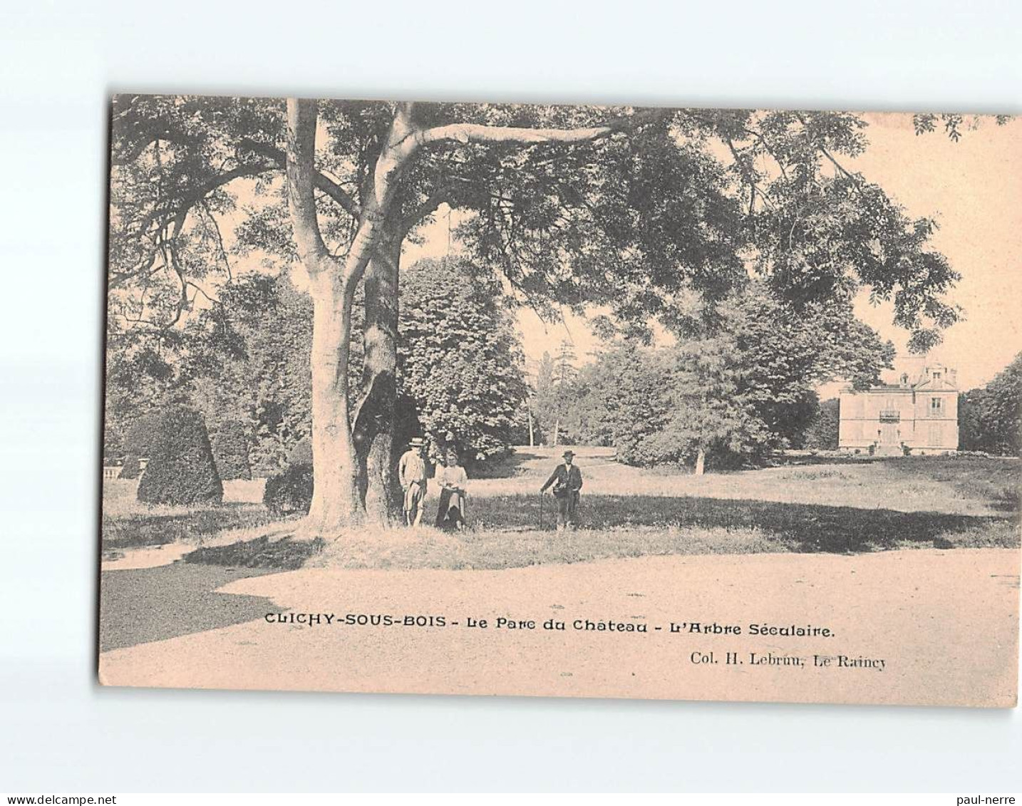 CLICHY SOUS BOIS : Le Parc Du Château, L'Arbre Séculaire - état - Clichy Sous Bois