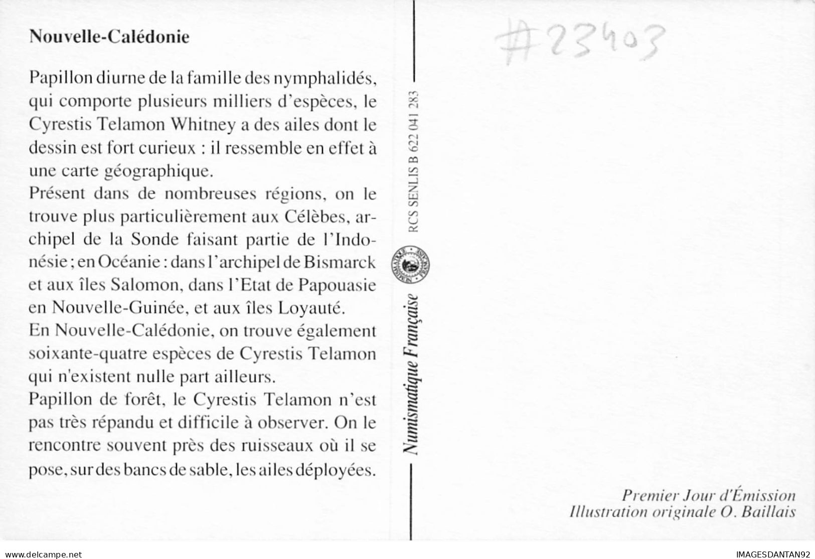 CARTE MAXIMUM #23403 NOUVELLE CALEDONIE NOUMEA 1991 PAPILLON - Cartes-maximum