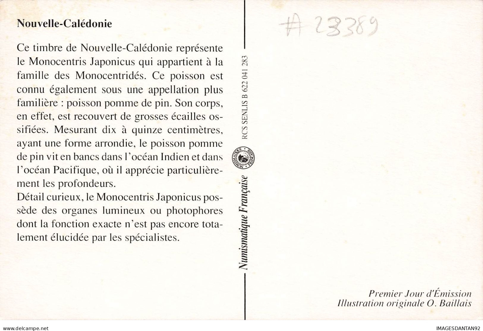 CARTE MAXIMUM #23389 NOUVELLE CALEDONIE NOUMEA 1991 MONOCENTRIS JAPONICUS POISSON - Cartes-maximum