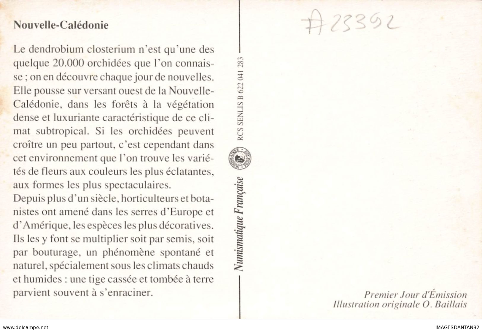 CARTE MAXIMUM #23392 NOUVELLE CALEDONIE NOUMEA 1991 ORCHIDEES - Cartes-maximum