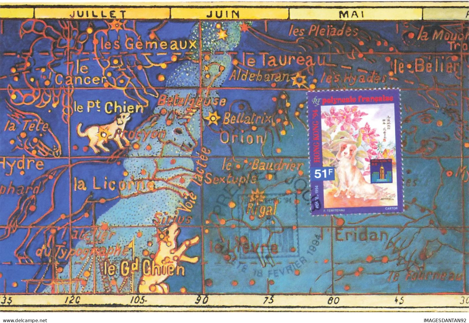 CARTE MAXIMUM #23578 NOUVELLE CALEDONIE NOUMEA 1994 HONG KONG HONGKONG LE PETIT CHIEN - Maximum Cards