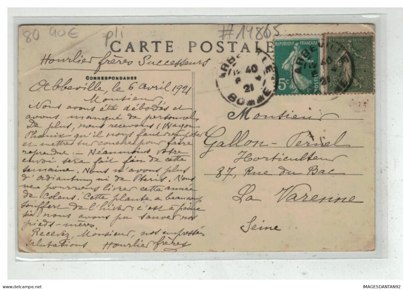 80 ABBEVILLE #14865 VUE D UNE PARTIE DE ETABLISSEMENT HORTICOLE HOURLIER LENGLET - Abbeville