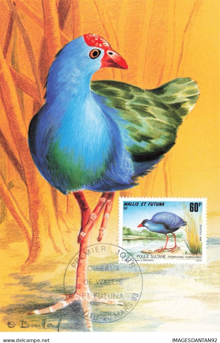 CARTE MAXIMUM #23473 WALLIS ET FUTUNA MATA UTU 1993 OISEAUX POULE SULTANE - Maximum Cards