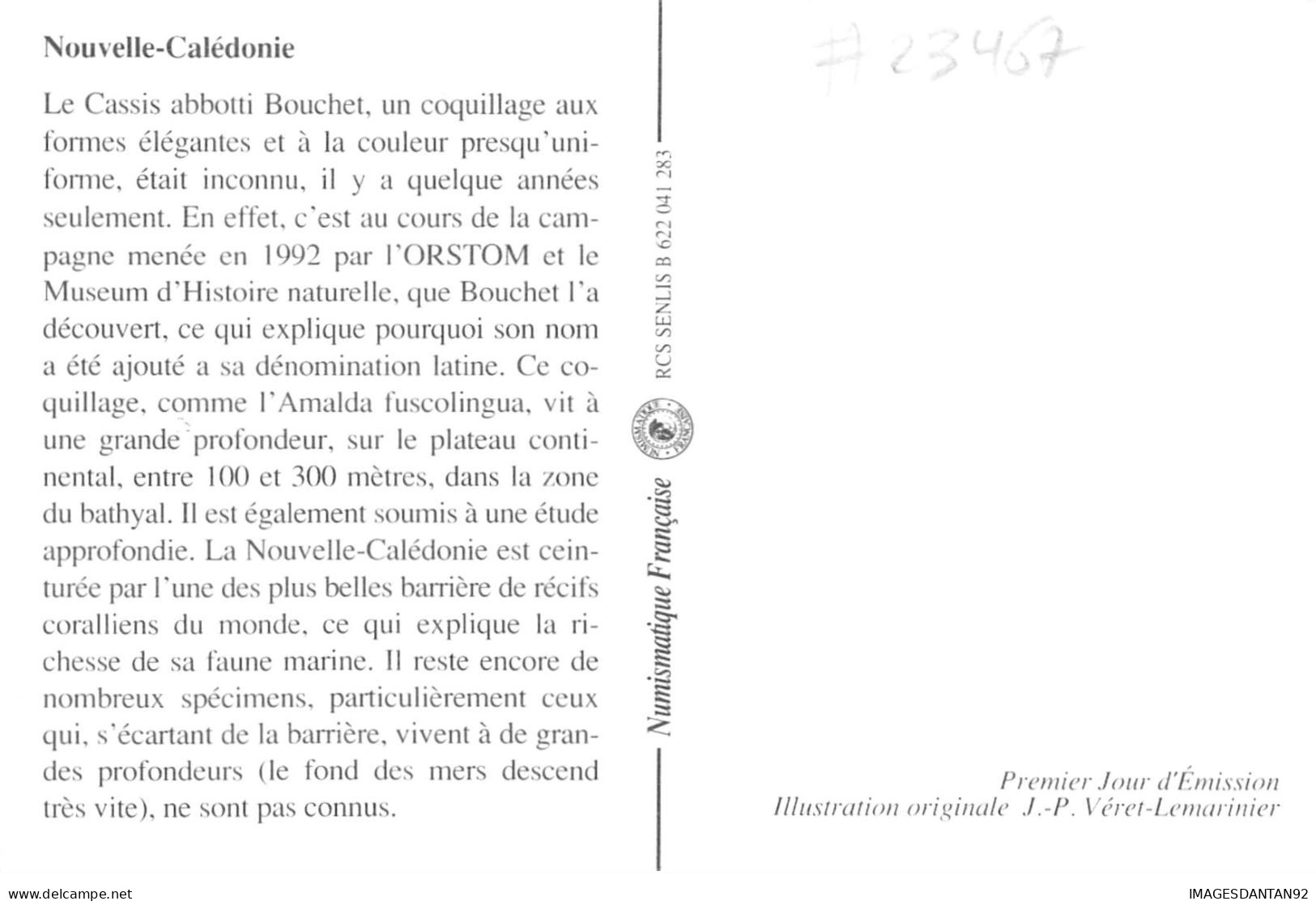 CARTE MAXIMUM #23467 NOUVELLE CALEDONIE NOUMEA 1992 CASSIS ABBOTTI BOUCHET - Cartes-maximum