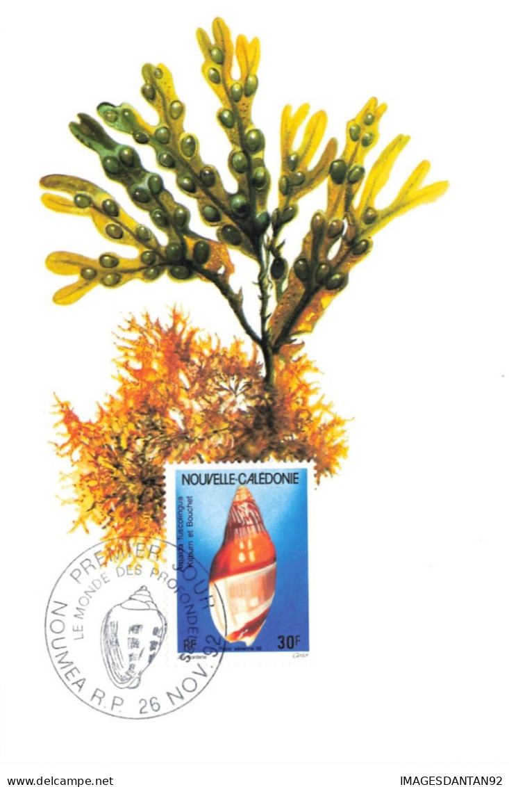 CARTE MAXIMUM #23466 NOUVELLE CALEDONIE NOUMEA 1992 KILBURN ET BOUCHET - Maximumkarten