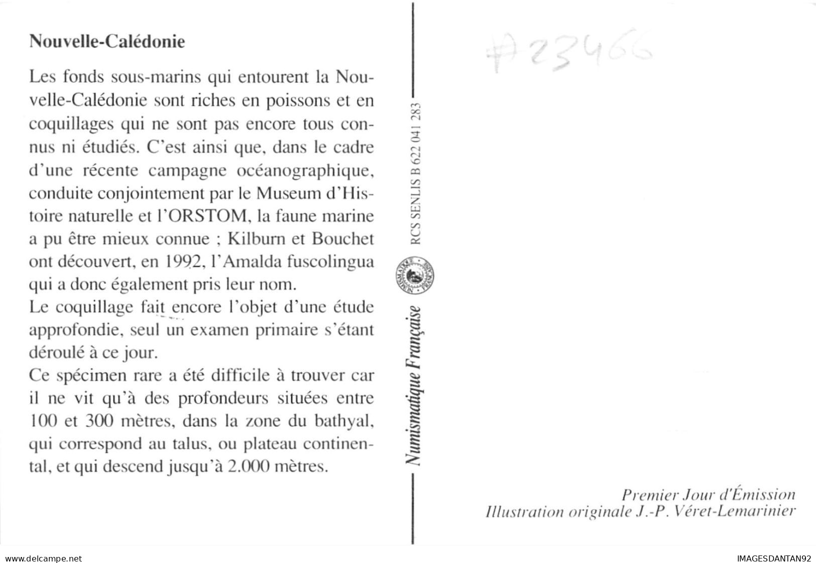 CARTE MAXIMUM #23466 NOUVELLE CALEDONIE NOUMEA 1992 KILBURN ET BOUCHET - Cartoline Maximum