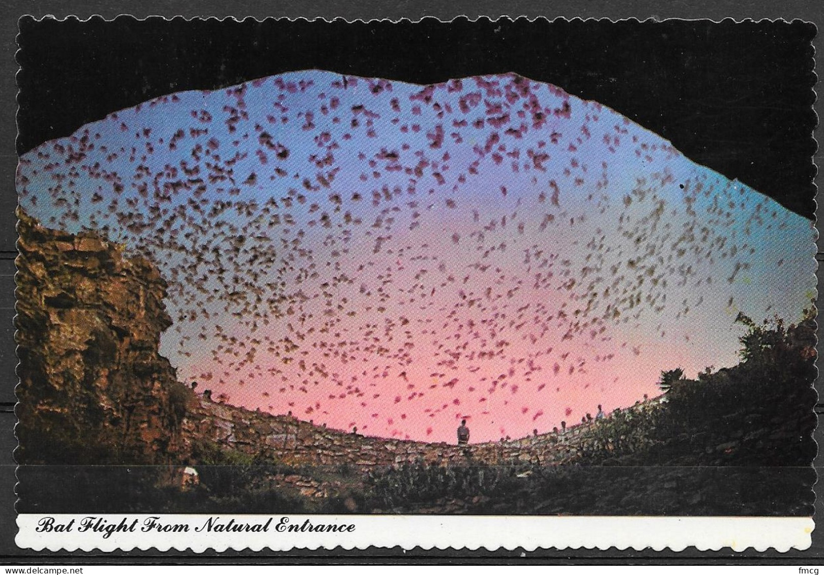 New Mexico, Carlsbad Caverns, Bat Flight From Natural Entrance, Unused - Autres & Non Classés