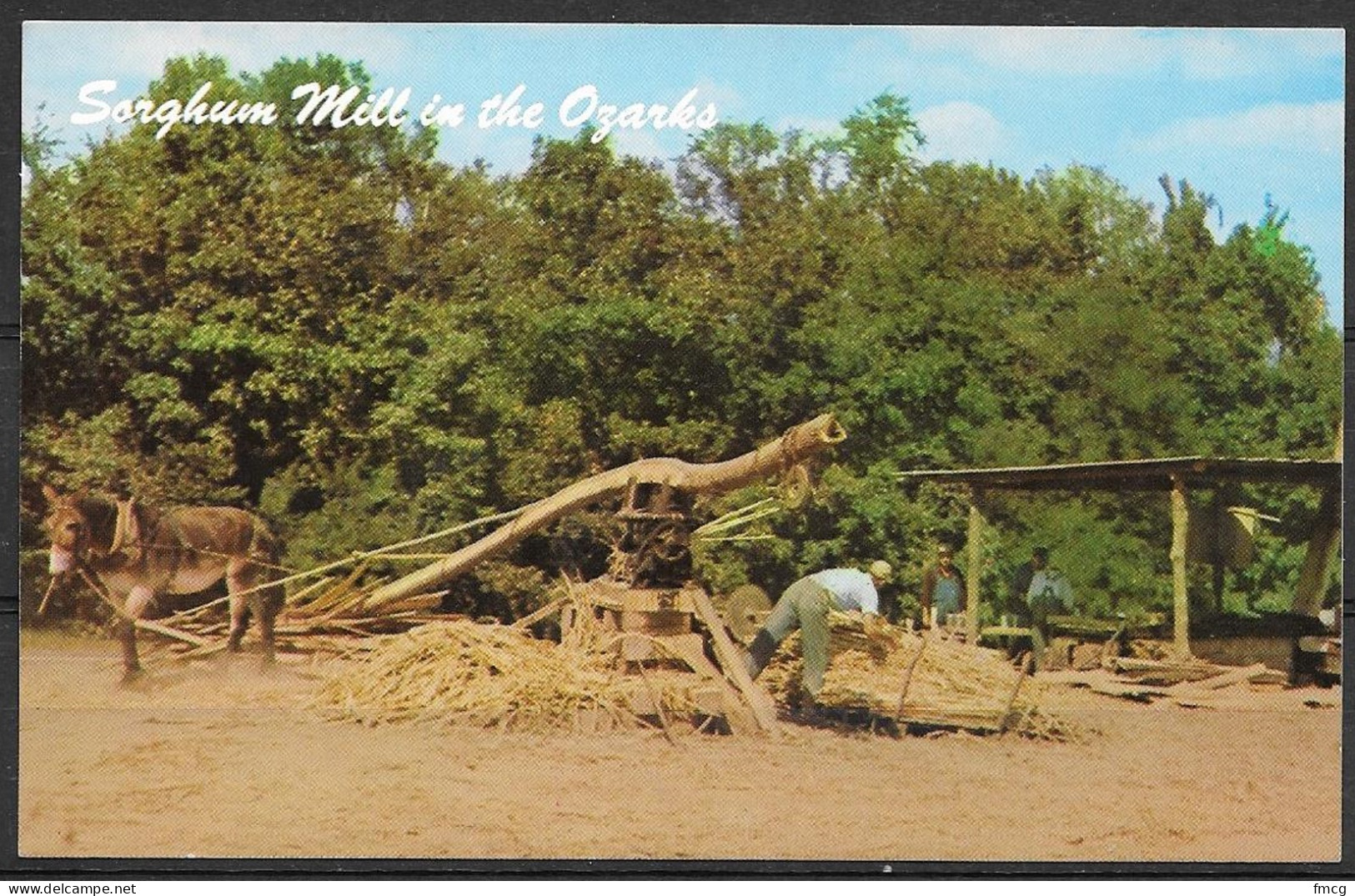 Missouri, Ozarks Sorghum Mill, Unused - Otros & Sin Clasificación