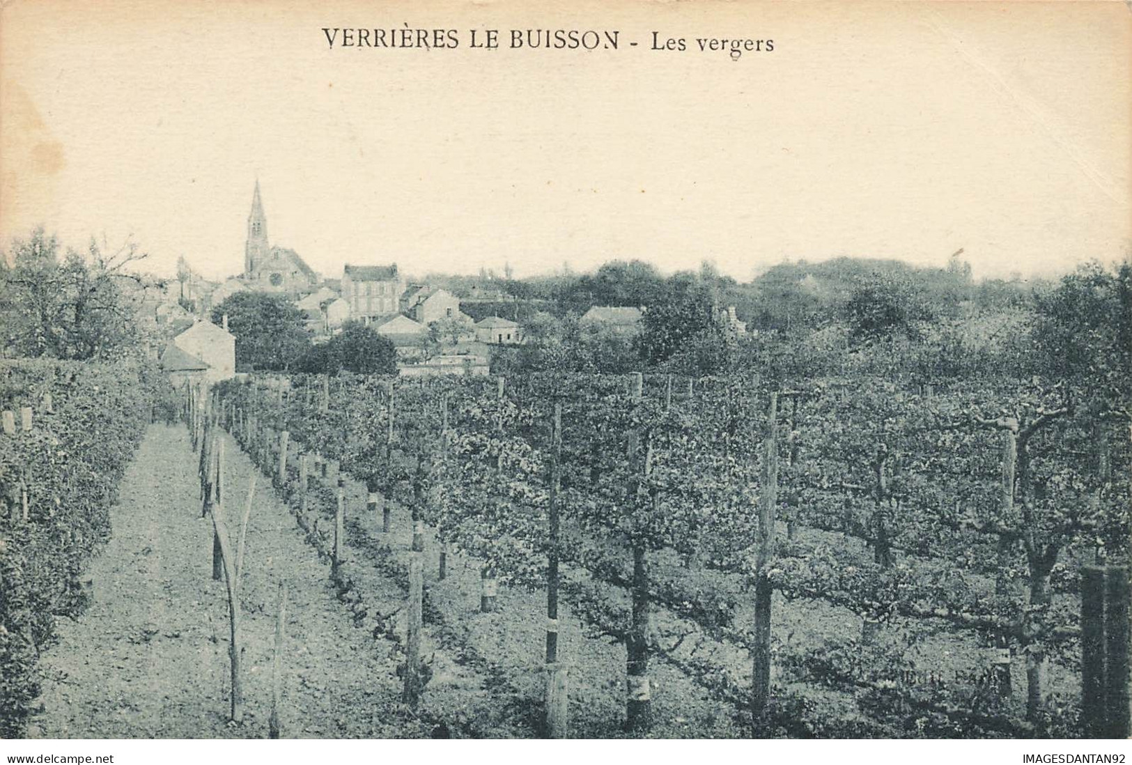 91 VERRIERES LE BUISSON #26551 LES VERGERS - Verrieres Le Buisson