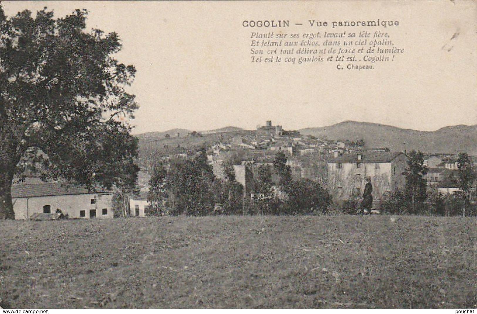 XXX -(83) COGOLIN - VUE PANORAMIQUE - 2 SCANS - Cogolin