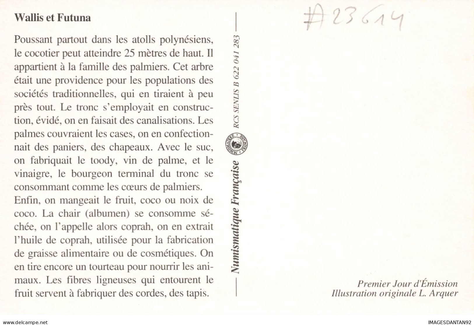 CARTE MAXIMUM #23614 WALLIS ET FUTUNA MATA UTU 1995 LA NOIX DE COCO - Cartes-maximum