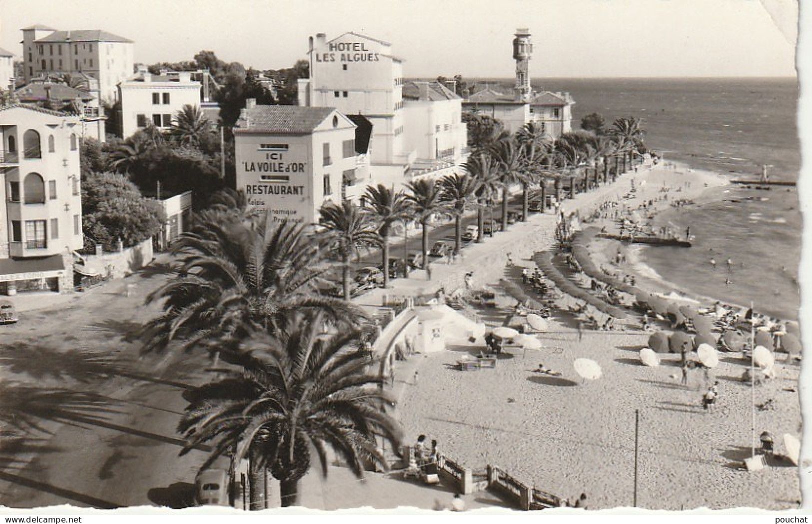 XXX -(83) SAINT RAPHAEL - LE BOULEVARD FELIX MARTIN ET LA PLAGE - RESTAURANT LA VOILE D' OR - HOTEL LES ALGUES - 2 SCANS - Saint-Raphaël