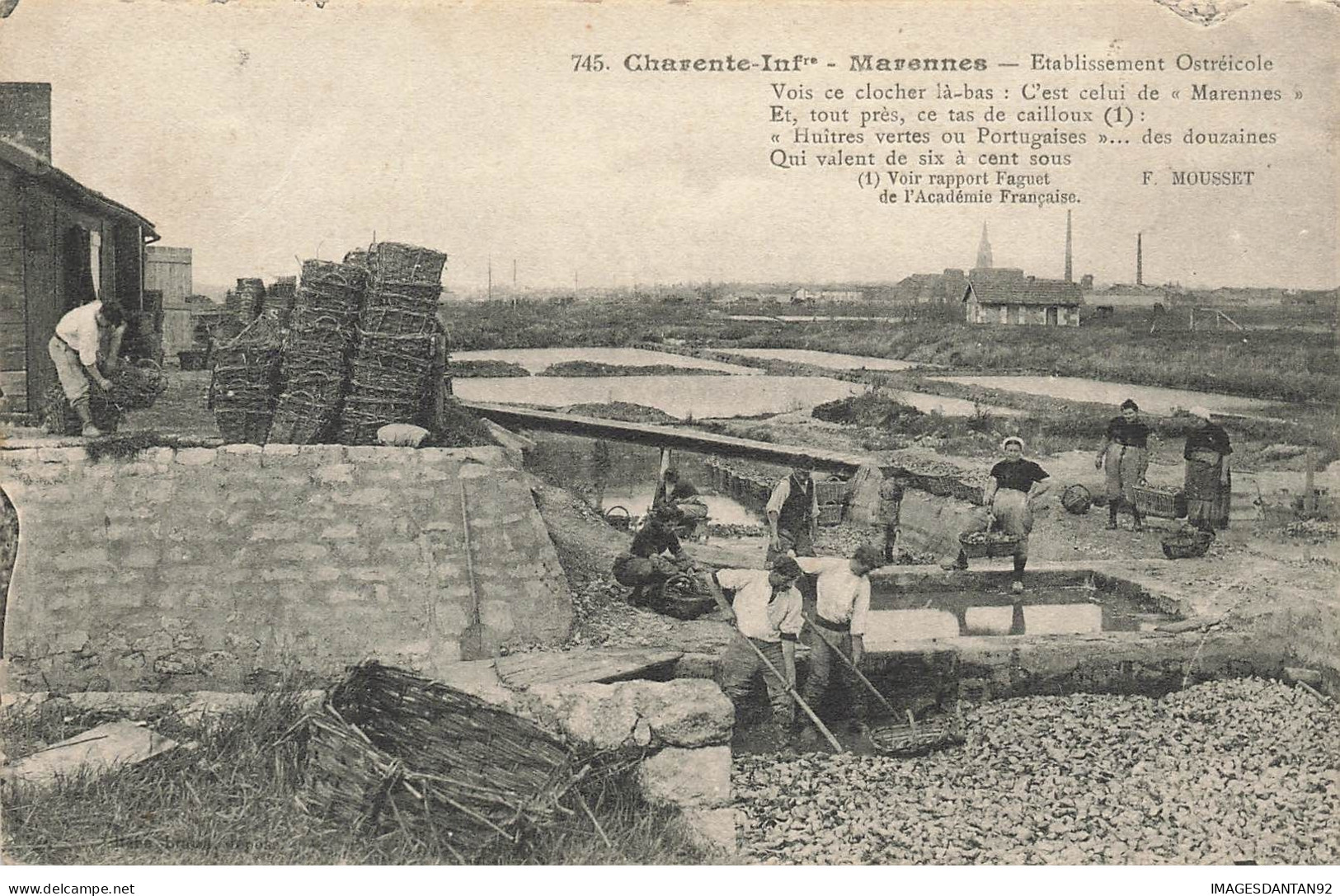 17 MARENNES #27394 ETABLISSEMENT OSTREICOLE CHANSON DE MOUSSET - Marennes