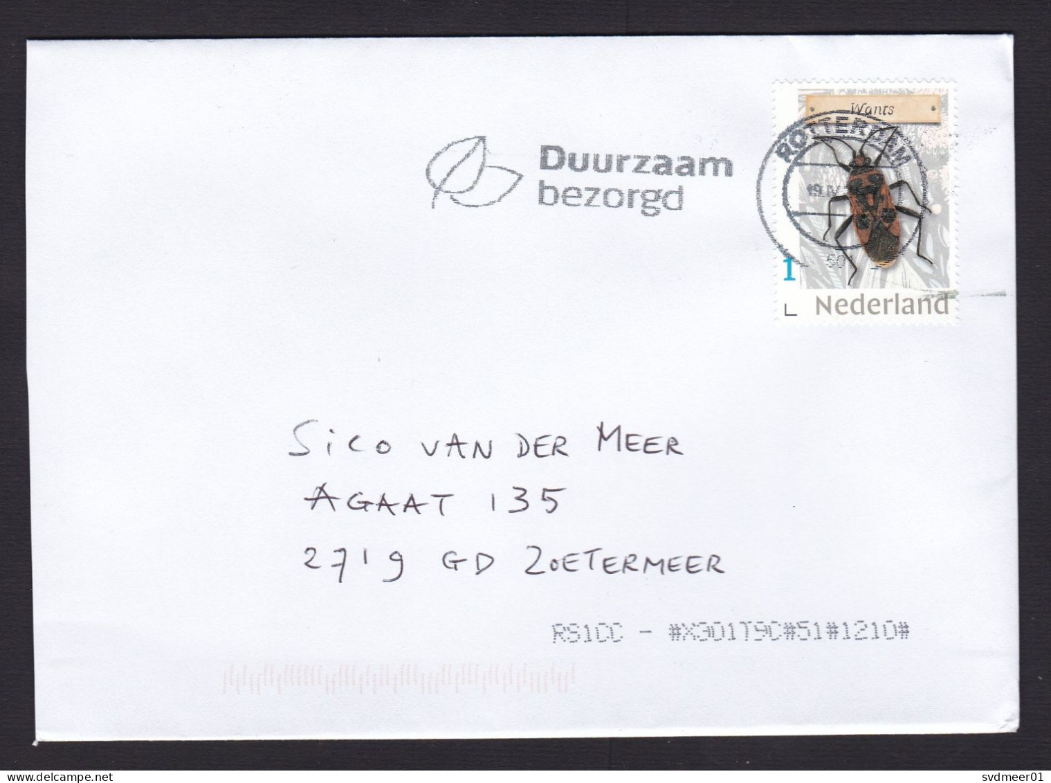 Netherlands: Cover, 2024, 1 Stamp, Beetle, Bug, Insect, Animal (traces Of Use) - Briefe U. Dokumente