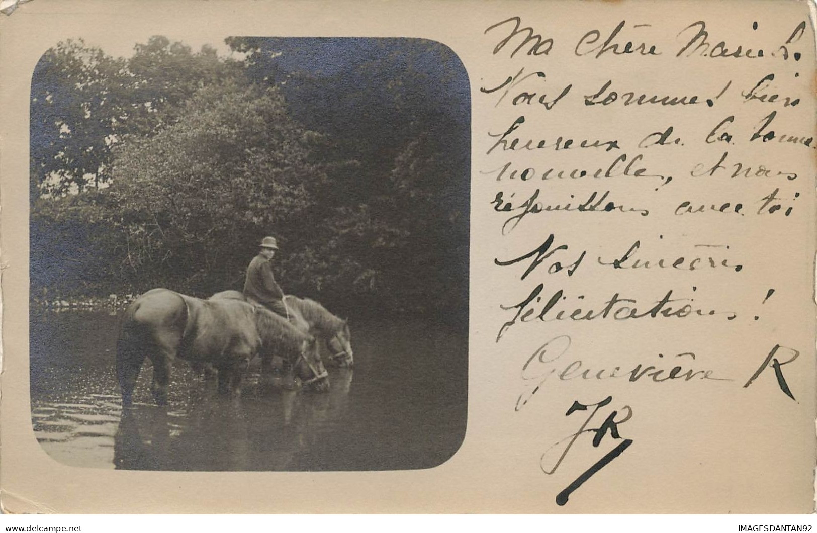 92 SCEAUX #28163 CARTE PHOTO CHEVAUX ETANG PLAN D EAU - Sceaux