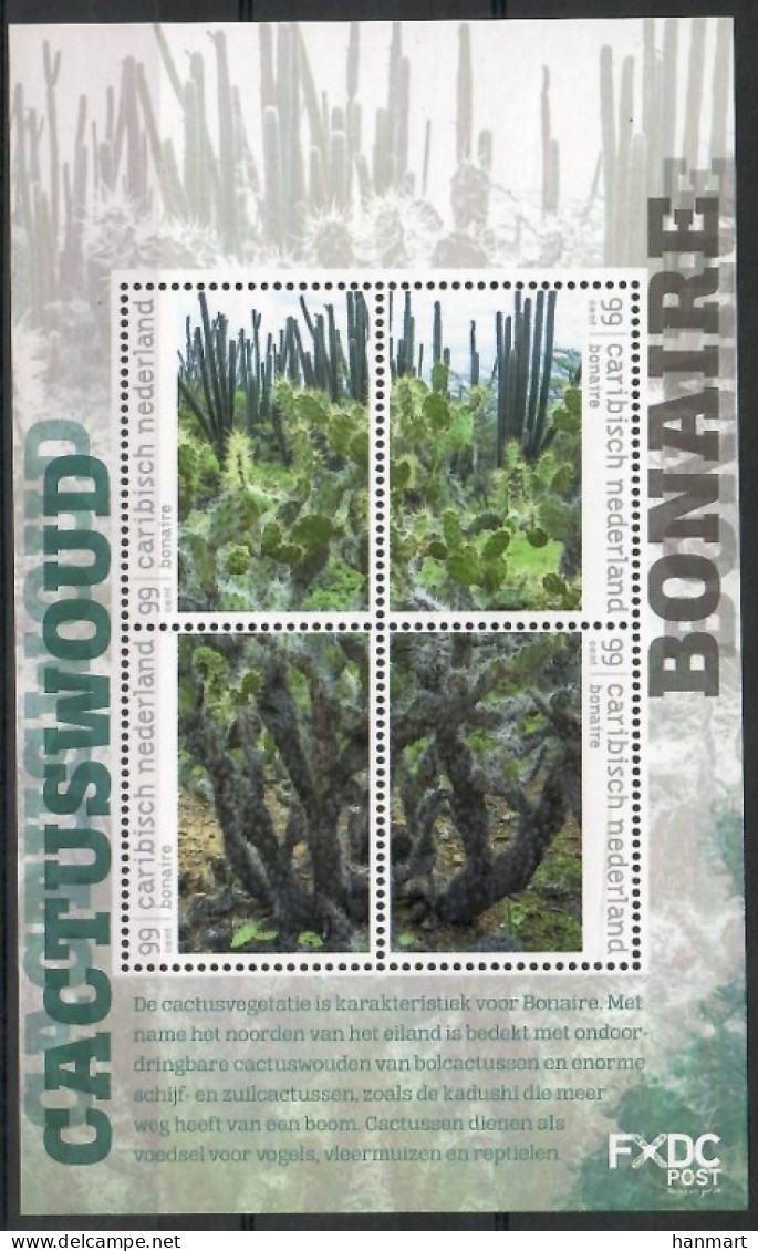 Caribbean Netherlands 2018 Mi Block 12 MNH  (LZS2 CNLbl12BONA) - Cactusses
