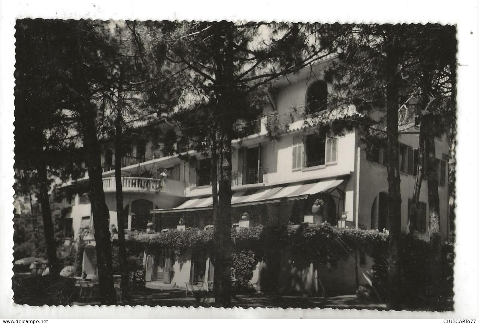 Sainte-Maxime (83) : L'Hôtel Beau-Site Pris Du Jardin En 1950 PF. - Sainte-Maxime