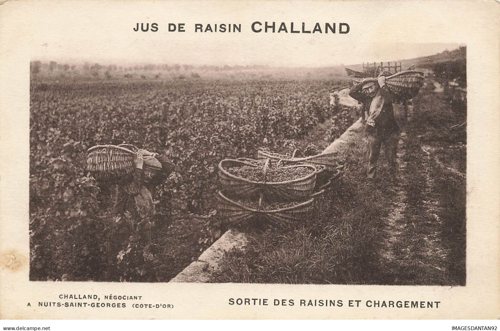 21 NUITS SAINT GEORGES #27417 JUS DE RAISIN CHALLAND SORTIE DES RAISINS VIGNE VIN - Nuits Saint Georges