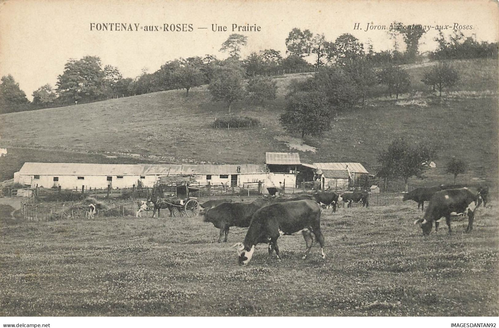 92 FONTENAY AUX ROSES #24799 UNE PRAIRIE ANIMAUX VACHE - Fontenay Aux Roses