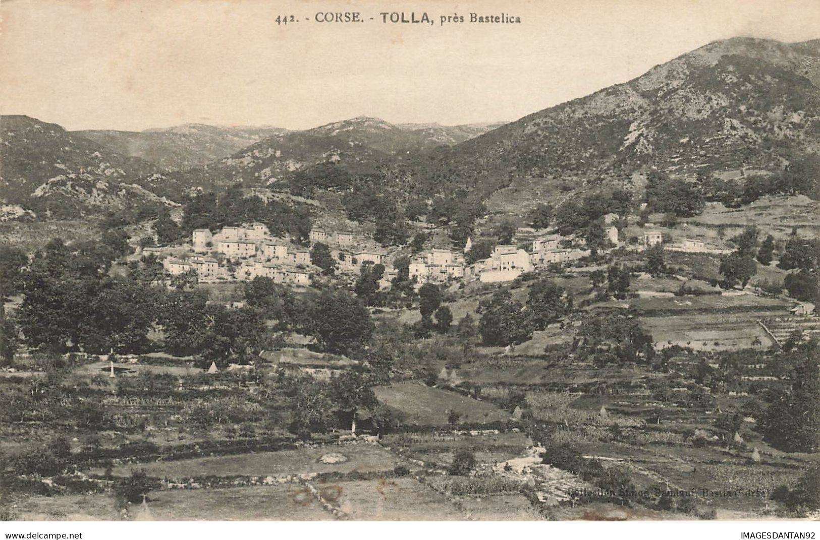 20 2A CORSE #27409 TOLLA PRES BASTELICA - Other & Unclassified