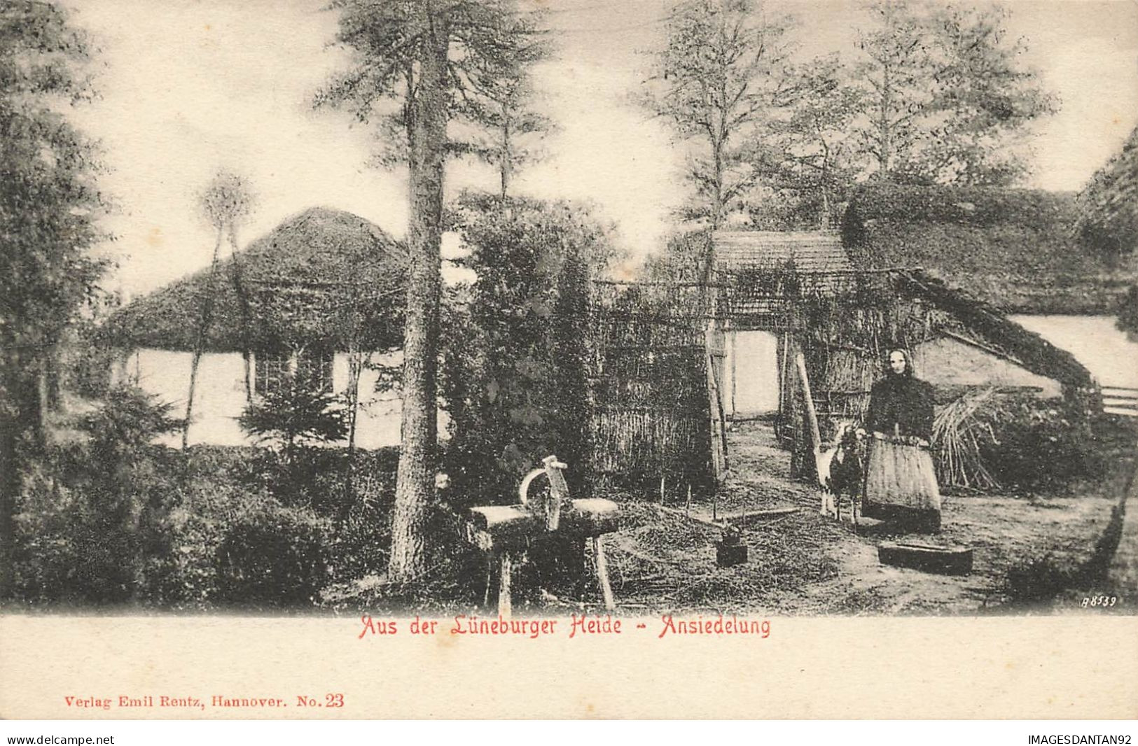 ALLEMAGNE #25834 AUS DER LUNEBURGER HEIDE ANSIEDELUNG - Lüneburger Heide