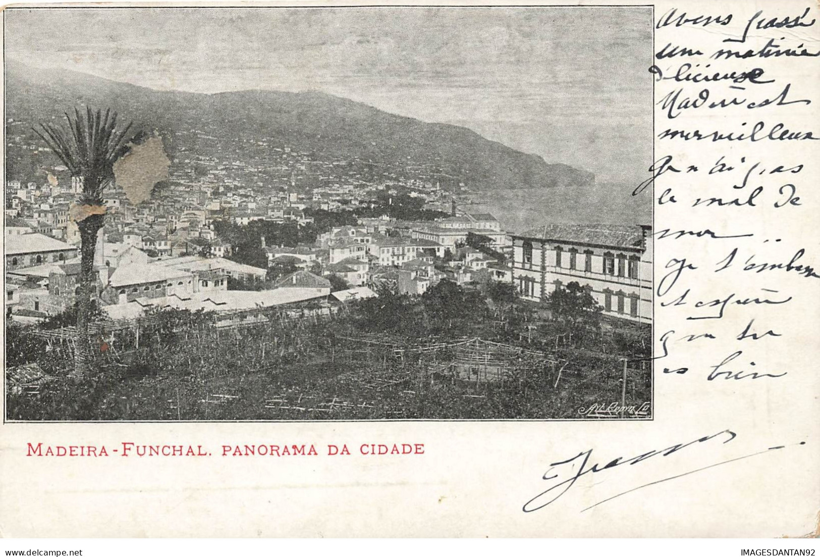PORTUGAL #28381 MADEIRA FUNCHAL PANORAMA DA CIDADE AFFRANCHISSEMENT PERFORE - Madeira