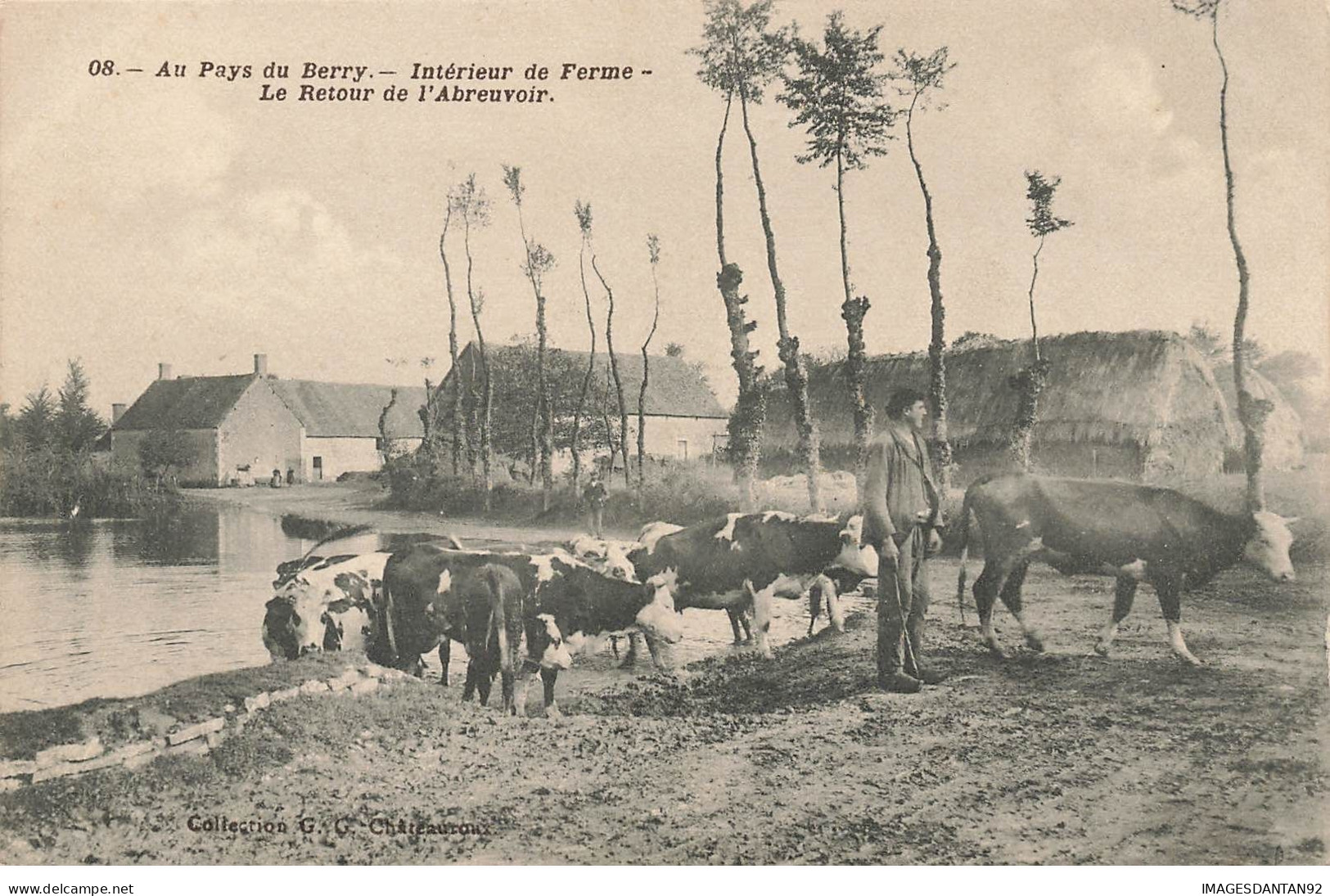 36 AU PAYS DU BERRY #27602 PRES CHATEAUROUX INTERIEUR DE FERME RETOUR DE L ABREUVOIR VACHES FERMIER - Chateauroux