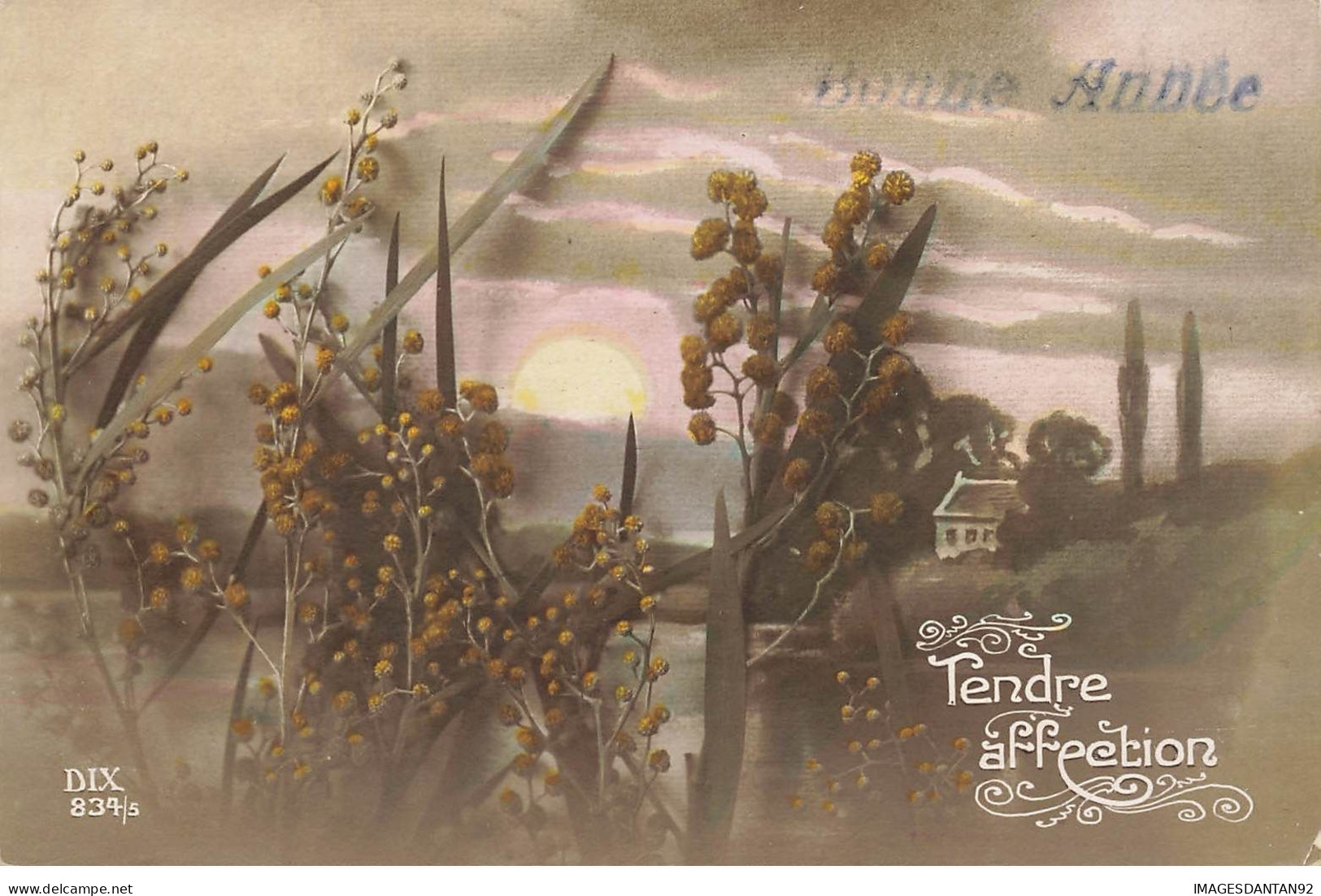 BONNE ANNEE #27041 VOEUX TENDRE AFFECTION FLEURS MIMOSA PAYSAGE - Anno Nuovo