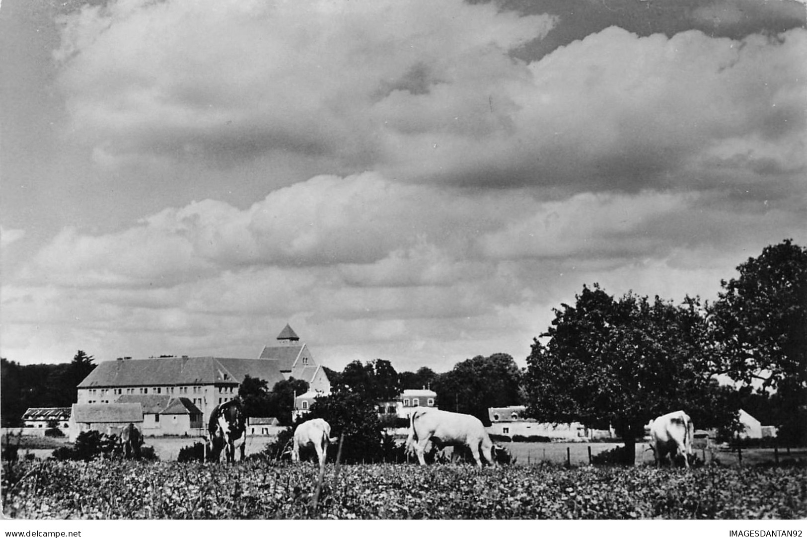 91 VAUHALLAN #26865 ABBAYE DE LIMON VACHES - Otros & Sin Clasificación