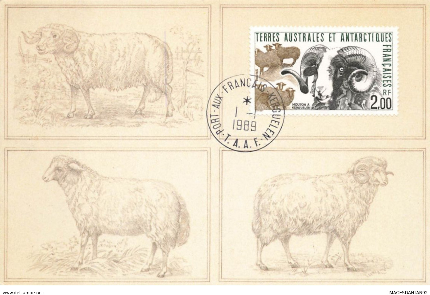 CARTE MAXIMUM FDC T.A.A.F. #26181 PORT AUX FRANCAIS KERGUELEN 1990 PREMIER JOUR MOUTON - FDC