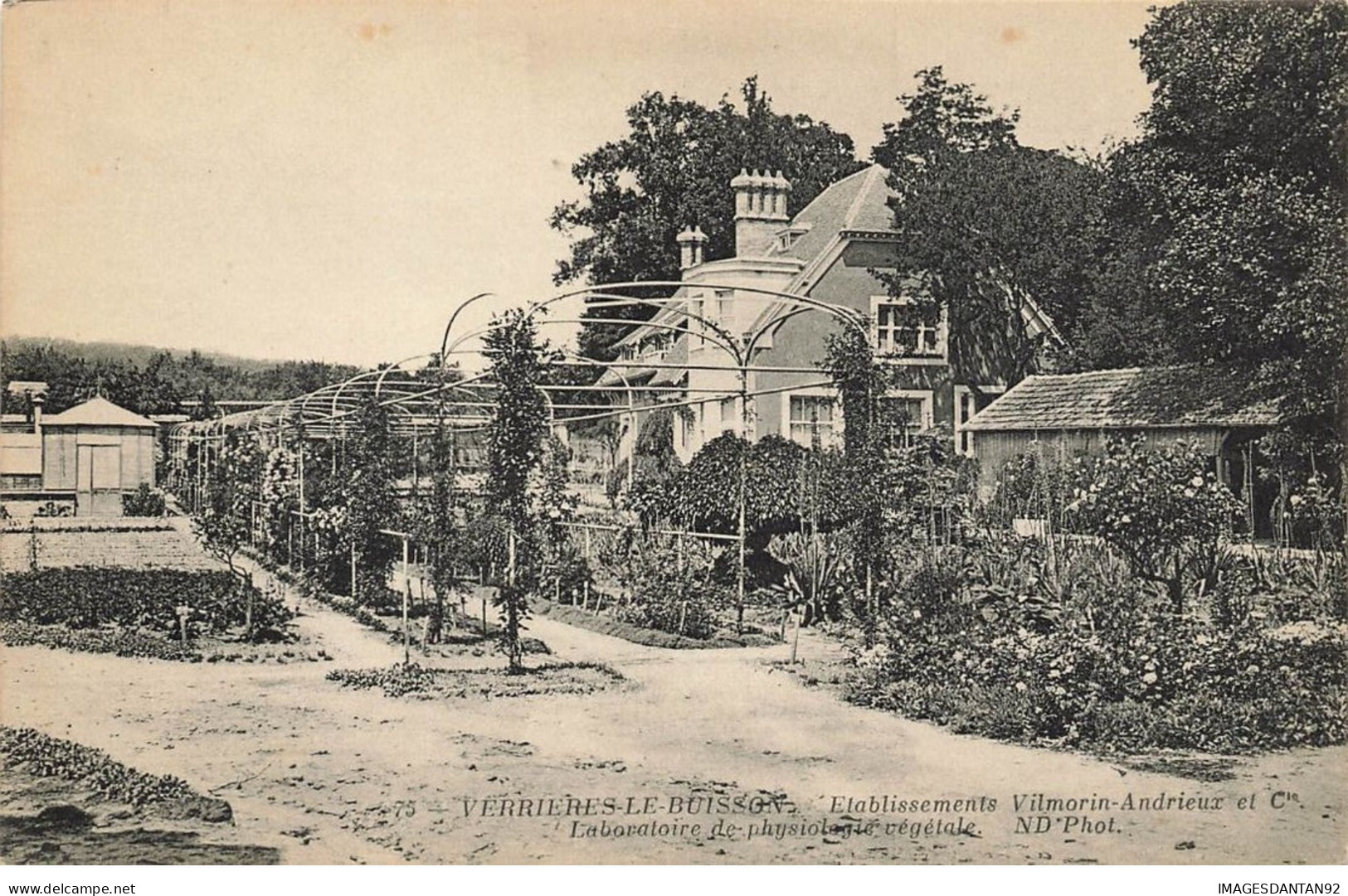 91 VERRIERES LE BUISSON #26641 ETABLISSEMENTS VILMORIN ANDRIEUX LABORATOIRE PHYSIOLOGIE VEGETALE HORTICULTURE - Verrieres Le Buisson