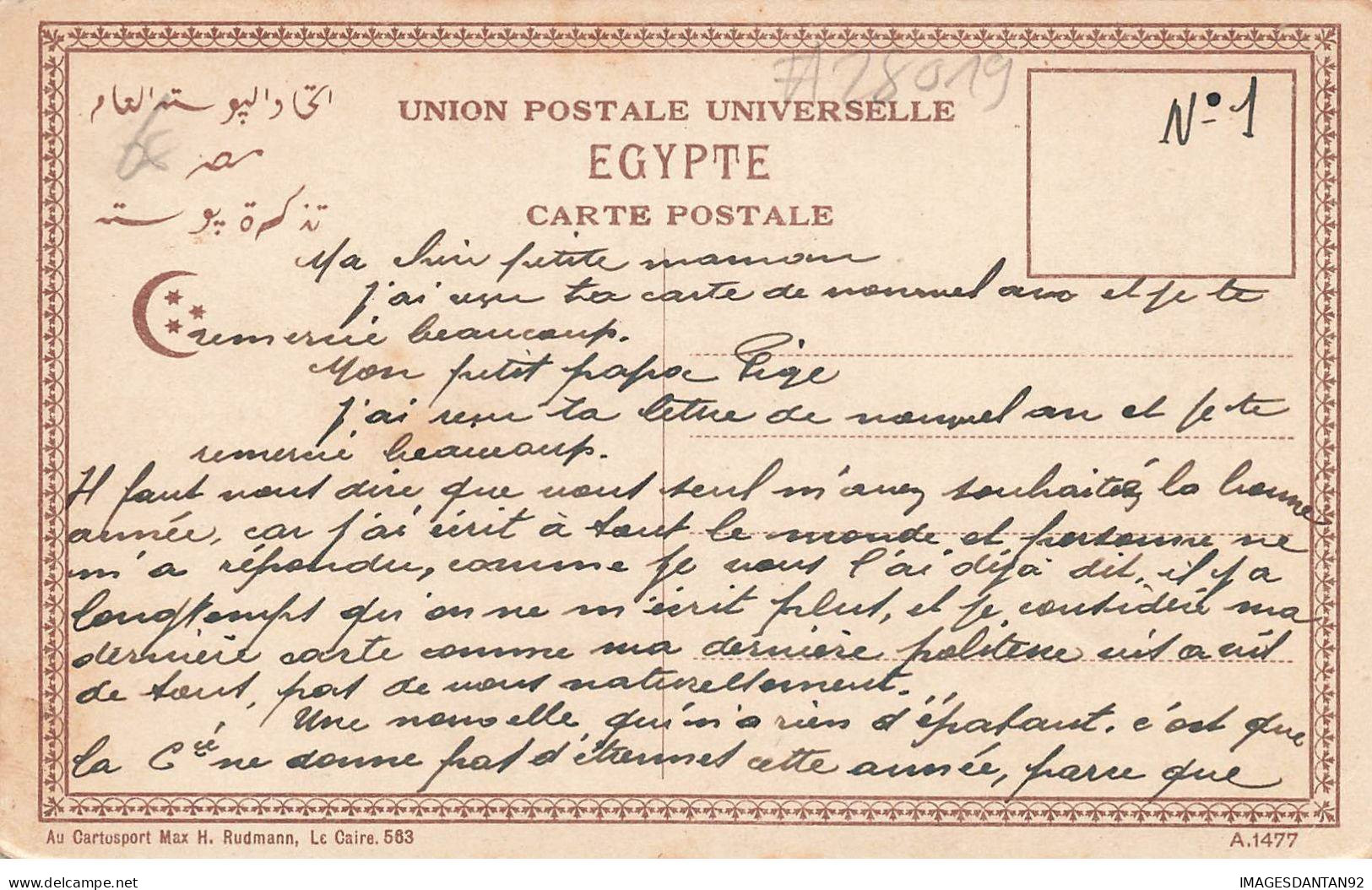 EGYPTE #28019 RECOLTE DES DATTES - Other & Unclassified