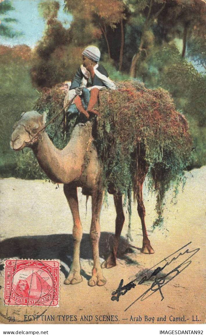 EGYPTE #28020 ARAB BOY AND CAMEL - Other & Unclassified