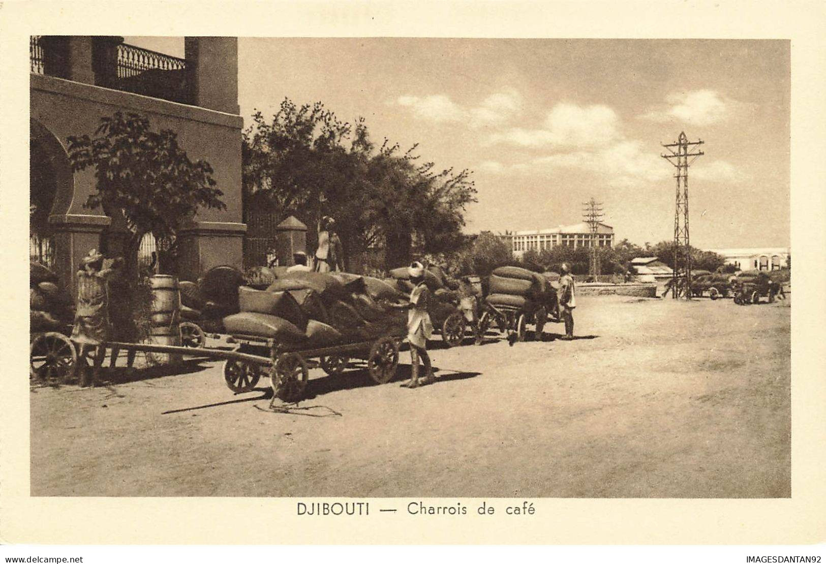 DJIBOUTI #27829 CHARROIS DE CAFE - Dschibuti