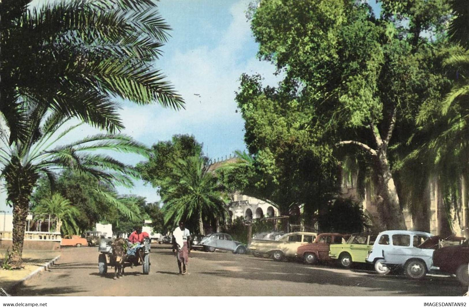 DJIBOUTI #27821 LE CENTRE ANE VOITURE COULEUR - Djibouti