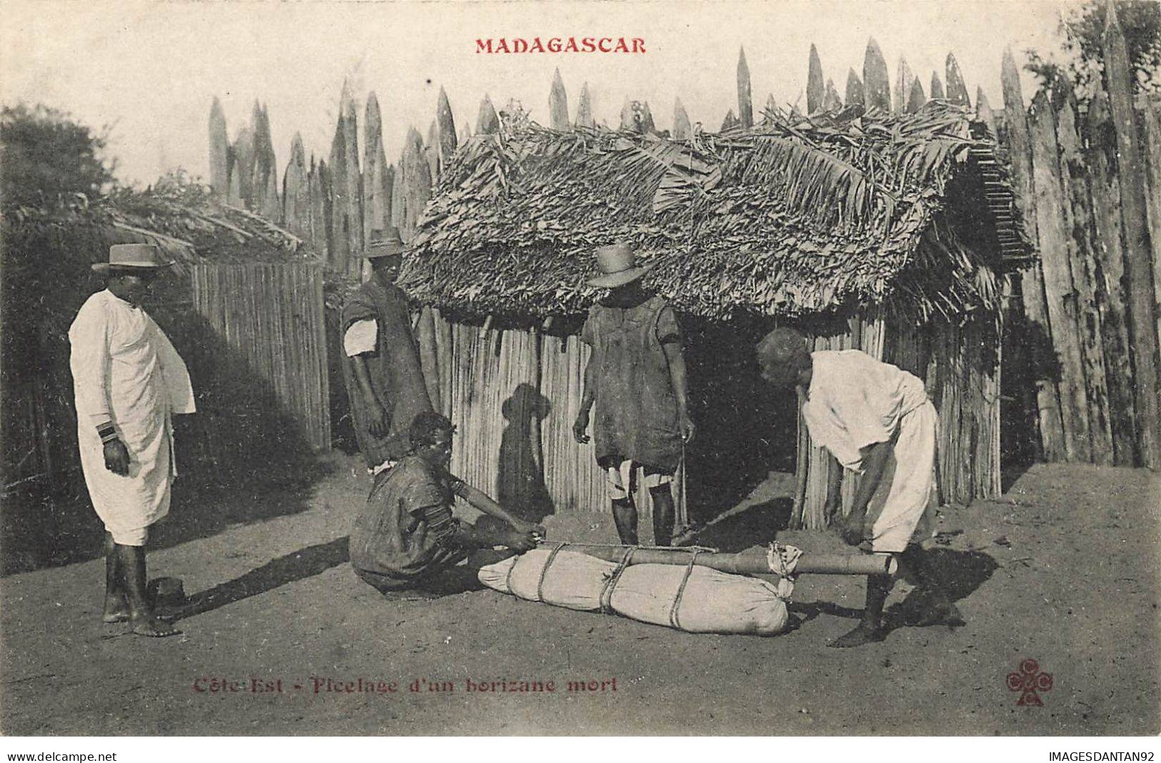 MADAGASCAR #27915 FICELAGE HORIZANE MORT - Madagaskar