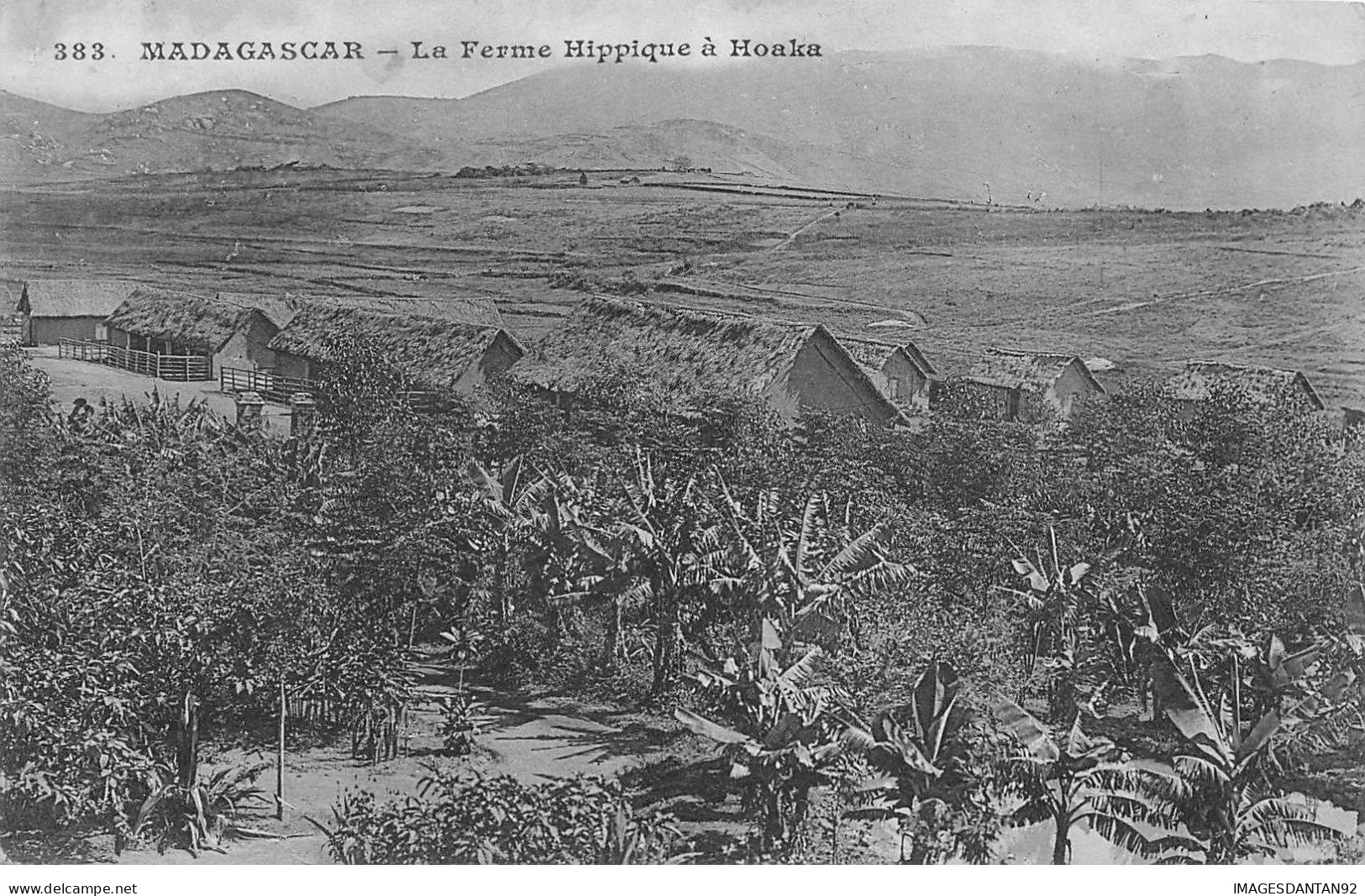 MADAGASCAR #27916 FERME HIPPIQUE HOAKA - Madagaskar