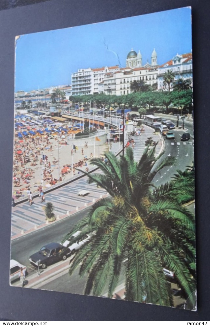 Saint Raphaël - Vue Générale - La Plage - Les Editions De La Ste-Baume, Nans Les Pins - Saint-Raphaël