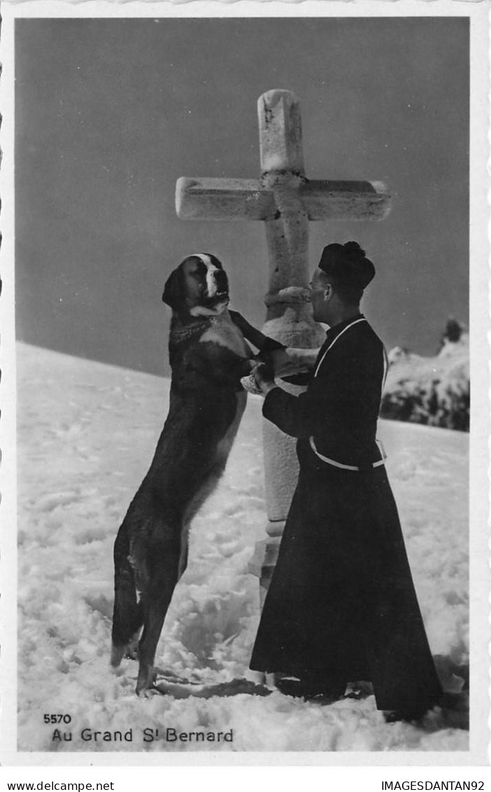 SUISSE VALAIS #29048 AU GRAND ST BERNARD CHIEN - Otros & Sin Clasificación